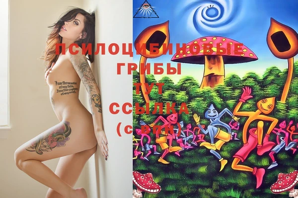 кокс Абдулино