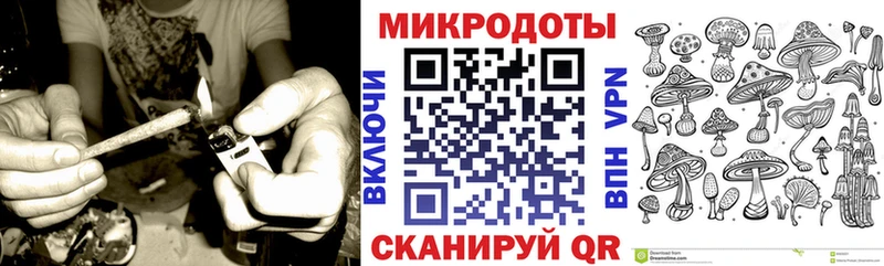 Псилоцибиновые грибы Psilocybine cubensis как найти наркотики Нефтегорск