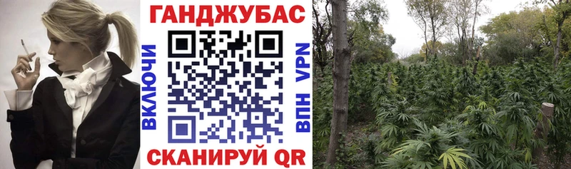 Бошки марихуана конопля  Нефтегорск 